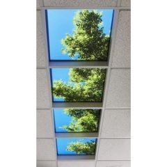 Spring LED Ceiling Lights