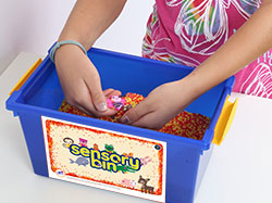 What is a Sensory Bin?